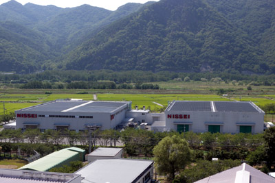 太陽光発電装置を設置した第7工場(左)と第8工場(右)の全景